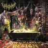 Vulvodynia - Album Psychosadistic Design
