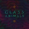 Glass Animals - Album Glass Animals