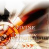Divine Destiny - Album Beautiful in White