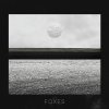 Apey - Album Foxes