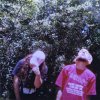 http://s.mxmcdn.net/images-storage/albums5/5/1/2/1/2/0/35021215.jpg