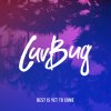 LuvBug - Album Best Is Yet To Come