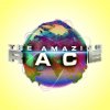 Starrer - Album The Amazing Race 2015
