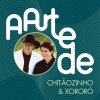 Album A Arte De Chitãozinho & Xororó