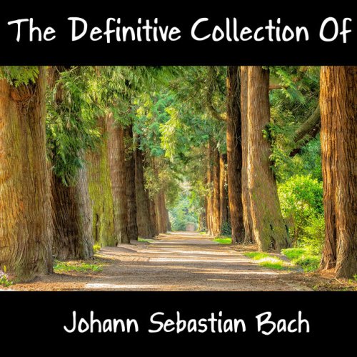 Johann Sebastian Bach Brandenburg Concerto No 3 In G Major BWV 1048