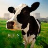 Ken Ring - Album Ger dig allt jag har