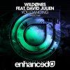 WildOnes feat. David Julien - Album You Dancing