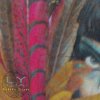 Lycia - Album Fifth Sun