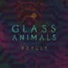 Glass Animals - Album Psylla