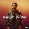 Stitches - Album Gangsta Forever