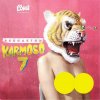 DJ Luigi - Album Reggaeton Karmoso 7