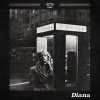 Burhan G - Album Diana