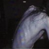 http://s.mxmcdn.net/images-storage/albums5/6/2/1/1/7/4/32471126.jpg