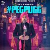 Deep Karan - Album #Peg Pugg