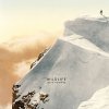 Wildlife - Album Age Of Everything