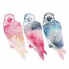 Flyying Colours - Album Mindfullness