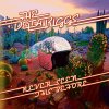 The Delta Riggs - Album Never Seen This Before