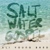 Eli Young Band - Album Saltwater Gospel