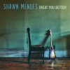 Shawn Mendes - Album Treat You Better