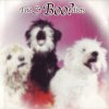 Boo! - Album The 3Boo?dists