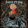 Forest of Fog - Album Awake
