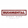 Rudimental - Album Right Here (feat. Foxes)