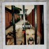 Boys Night Out - Album Black Dogs