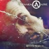 Raaka-Aine - Album Narsistin Päiväkirja