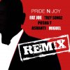 Fat Joe - Album Pride N Joy Remix (feat. Trey Songz, Pusha T, Ashanti & Miguel) - Single