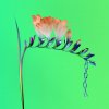 Flume - Album Skin Companion EP I