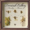 Dominik Eulberg - Album Mimikry & Mimese EP