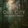 Owl City - Album My Everything