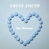 Cruel Youth - Album Mr. Watson