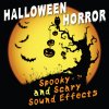 Hits Etc. - Album Halloween Horror: Spooky and Scary Sound Effects