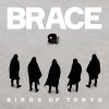 Birds of Tokyo - Album Brace