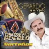 Gerardo Reyes - Album Corridos Pa'l Pueblo Nortenos