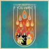 Sam Roberts Band - Album If You Want It