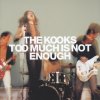 The Kooks - Album Too Much Is Not Enough