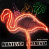 Ryan Cabrera - Album Whatever Whenever