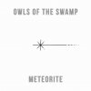 Owls Of The Swamp - Album Meteorite