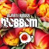 BlasterJaxx - Album Blossom