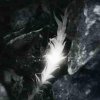 http://s.mxmcdn.net/images-storage/albums8/0/7/3/7/0/6/11607370.jpg