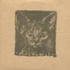 Tindersticks - Album Kathleen