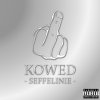 Seffelinie - Album Kowed