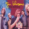 Gin Blossoms - Album Hey Jealousy