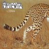 Apulanta - Album Liikaa