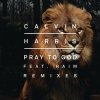 Calvin Harris feat. Haïm - Album Pray to God
