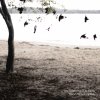http://s.mxmcdn.net/images-storage/albums8/1/7/9/4/4/9/13944971.jpg
