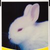 http://s.mxmcdn.net/images-storage/albums8/1/8/0/5/8/8/30885081.jpg