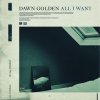 Dawn Golden - Album All I Want